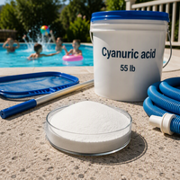 Chlorinateur de piscine à l'acide cyanurique SS0922 pour piscine, entrepôt américain