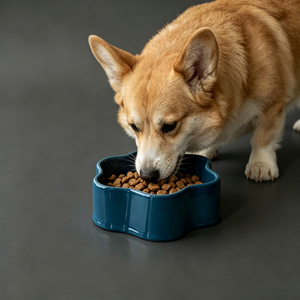 New Arrival Negative Ion Antibacterial <b>Ceramic</b> Pet Feeding Dish Eco Friendly Lead Cadmium Free Cat <b>Dog</b> Bowl - Product Image 6