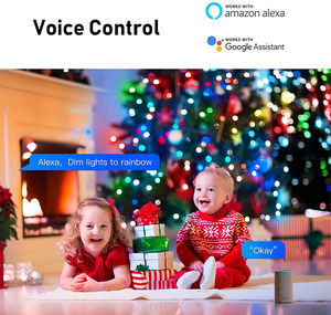 Guirlandes lumineuses LED multicolores RGB en cuivre, commande par application intelligente, pour la décoration de Noël en extérieur - Product Image 5