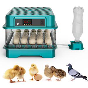 24 Trứng Điện Kép Tự Động Trứng Quay Gà Nở Lồng Ấp Chick Vịt Chim Cút Trứng Lồng Ấp Cho Bán - Product Image 5