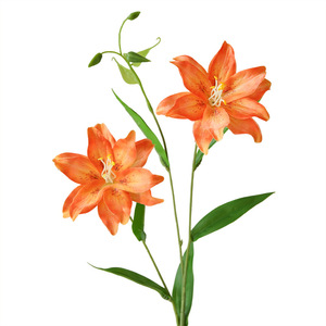 ดอกลิลลี่ประดิษฐ์สองหัว สีขาว ทำจากผ้าไหม สำหรับตกแต่งบ้าน จัดแจกัน - Product Image 5