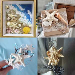 20 PCS 1 "-3" Bulk Natural Starfish für Hochzeits strand DIY Crafts Weihnachts baums chmuck - Product Image 6