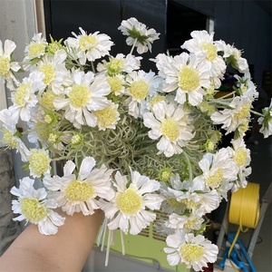 Flores Artificiales de Scabiosa de Tacto Real, Ramos de Seda al por Mayor para Decoración de Bodas y Hogar - Product Image 3