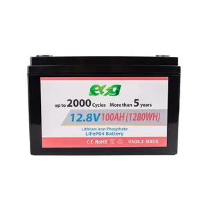 ESG home used LiFePO4 battery Deep Cycle Battery module 100AH UPS 12V Lithium battery pack