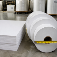Papier de canne à sucre écologique pour emballage de pots de pépinière, cartes d'entretien des plantes, marqueurs d'herbes, étiquettes de semences, papier de bagasse de canne à sucre naturel en vrac