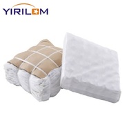 Foshan Ressort ensaché Fournisseur Coussin de canapé personnalisé Ressort de poche