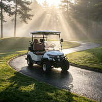 Voiturette de golf électrique personnalisée Rainbow 6 places avec batterie au lithium 72V et moteur 5kw certifiée DOT pour les terrains de golf et les clubs