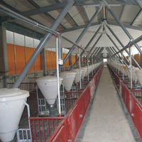 Équipement d'élevage porcin, mangeoire automatique pour porcs, équipement d'alimentation pour porcs d'élevage