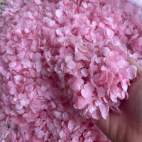 Pétales de fleurs d'hortensia Anna naturelles préservées, 100 % toucher réel, blanc, rose, crème, pour décoration de mariage et matériaux de bricolage