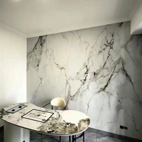 Panneau décoratif de feuille de marbre UV de PVC de panneau décoratif de mur flexible haut brillant