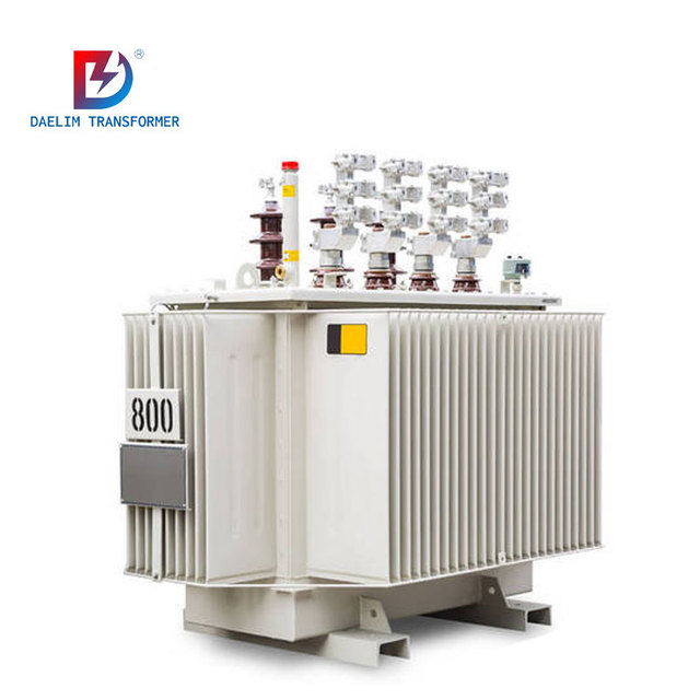 1000kVA 10kV 0.4V Three Phase Oil-Immersed Transformer