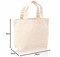 Tas Kanvas Tian-YL Kustom dengan Pegangan Bahu Katun, Penutup Ritsleting, Ramah Lingkungan, Desain Polos, untuk Wanita, Penggunaan Sehari-hari, Pantai, dan Luar Ruangan