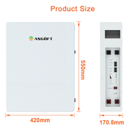 Sistema de Almacenamiento de Energía Doméstico Híbrido de Pared con Batería LiFePO4 de 51.2V 100Ah 5kWh 10kWh, Compatible con CAN Solar BMS, en Stock en Alemania