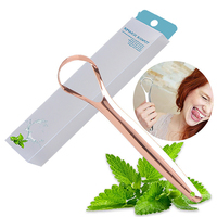 Approbation de dentiste Offre Spéciale nettoyeur de langue en acier inoxydable outil de soin des dents grattoir de langue de nettoyage oral