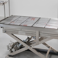 Table chirurgicale électrique pour cliniques vétérinaires : Table d'examen et de traitement pour animaux en acier inoxydable 304, Plateforme de consultation mobile