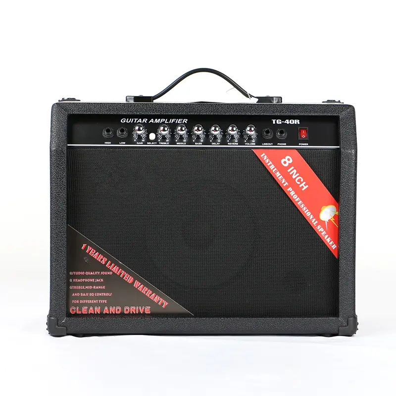 Muziekinstrument Oem Brand Factory Prijs 40 Watt Microfoon Elektrische Akoestische Gitaar Amp