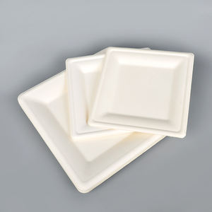 Assiette verte en plastique jetable écologique de 9 pouces 100% vaisselle en pulpe biodégradable et compostable Style américain - Product Image 1