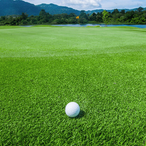 Gazon synthétique durable en PP bouclé pour putting-golf, idéal pour l'intérieur et l'extérieur, pour l'entraînement au mini-golf – Vente en gros à prix réduit - Product Image 5