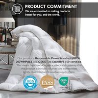 Couette de luxe 100 % coton taille Queen, 48 oz de garnissage, design à compartiments, blanche unie, en plumes d'oie et de canard, pour la maison