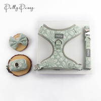 Nouveau style de laisse, harnais et collier pour chien, fournitures pour animaux de compagnie, pour chiens de petite et moyenne taille, harnais pour usage extérieur, vente en gros
