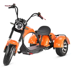 Wholesale Of Electric Tricycle 12 Inch Fat Tire 60V 2000W Electric Tricycle Scooter