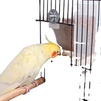 Cage de graine suspendue en plastique acrylique, 1 pièce, bouddha africain amour, oiseaux nourriture, automatique avec accessoires sur support