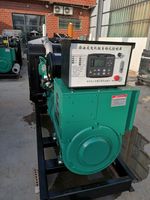 Generatore Diesel Portatile Silenzioso Ricondizionato con Inverter a Magneti Permanenti, Alimentato a Benzina, di Seconda Mano