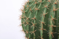 Plantes artificielles tropicales en pot, fausses plantes vertes, paysage désertique, fausses plantes vertes décoratives, simulation de cactus en plastique