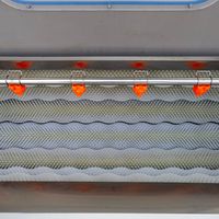 Industriële borstel aardappel schilmachine automatische elektrische was- en schilmachine voor taro, yam, wortel, bieten en aardappel.