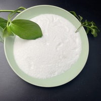 GS 6517 Dozzy Floc Polyacrylamide PAM pour le traitement des minerais boueux, floculant anionique, additif pour la boue de forage minier