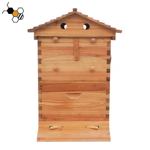 Beekeeping Chinas Wood Automatic Box Plastic 7Pcs Frames Self-Flowing Honey Bee Hive Box Of Honey Bee