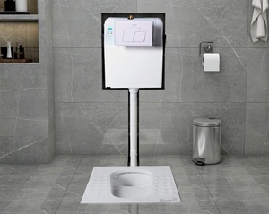 Verborgen Wc-Stortbak Van Kunststof Stortbak, 116Mm Dikte Met Verzonken Wandgemonteerde Mechanische/Pneumatische Pan - Product Image 6