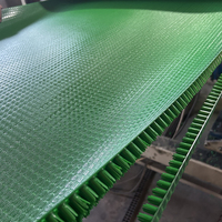 Línea de Extrusión Semiautomática para Alfombras de Césped Sintético PE Gold Rush con PLC y un Solo Tornillo para Plantas de Fabricación de Alfombras para Hogar, Jardín y Puertas