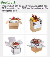 Sac de doublure isotherme pour boîte d'expédition, en feuille d'aluminium, imperméable, avec revêtement anti-UV, pour aliments congelés et légumes