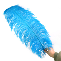 Plumes d'autruche en gros 65-70cm, plumes épaisses pour décoration de mariage, fournitures de fête de Noël, accessoires de couture