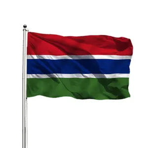 Wholesale Double Side Printing Custom Size 100% Polyester Gambia flag