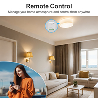 Commutateur WiFi intelligent Gradateur pour lumière LED Smart Home Télécommande App Control Alexa Voice Compatible Smart Breaker Module de commutation WiFi