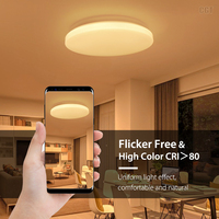 Lámpara de techo RGB con Control de voz inteligente, luz de 12 pulgadas, 330mm, forma redonda, 24W, regulable, Wifi, para sala de estar