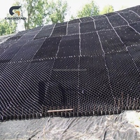Geocelda Antideslizante de HDPE para Refuerzo de Suelos en Taludes de Carreteras y Ferrocarriles, 50mm-300mm, de Alta Calidad