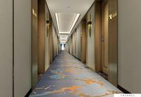 Tapis d'hôtel imprimé sur mesure pour chambres et couloirs d'hôtel, tapis pour salle de banquet, fabriqué en Chine.