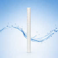 Cartouche filtrante à sédiments enroulée en fil de 50 pouces de qualité industrielle, 0,22 micron pour le traitement de l'eau ultrapure des semi-conducteurs