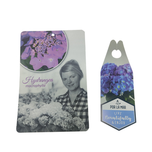 Étiquette de graines d'étiquette de <span class=keywords><strong>plante</strong></span> de bâton de <span class=keywords><strong>plante</strong></span> de <span class=keywords><strong>Hebe</strong></span> imperméable de fleur en forme pour le travail de jardin - Product Image 6