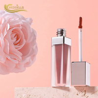 Kits de gloss à lèvres personnalisables à base de plantes, format poche, rehausseur de couleur, brillance sensuelle, vente en gros, longue tenue, rehausseur de couleur