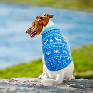 Vente en gros de vêtements de Noël pour chiens vestes de chien pull hiver chaud doux vêtements pour animaux de compagnie manteau chien gilet tenue vêtements réfléchissants pour animaux de compagnie - Product Image 4