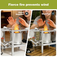 Brasero de jardin en acier inoxydable, cuisinière à bois, finition en fonte, alimenté à l'huile, flamme réglable, design sans fumée, chauffage autonome