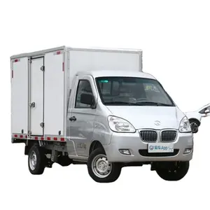 中国迷你 4*2 电动厢式货车/货运/箱式卡车待售