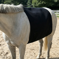 Almohadilla de Terapia LED Personalizable para Caballos, para Programas de Salto y Caza