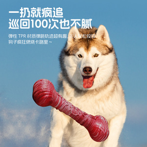 Jouet à mâcher pour chien en caoutchouc TPR, os pour le nettoyage dentaire, jouets à mâcher pour animaux de compagnie d'intérieur, 250g - Product Image 4