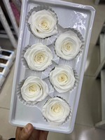Bunga Mawar Awet Berkualitas Tinggi 5-6cm Paket 6 Warna-warni Dekorasi Pernikahan Wisuda Natal Rangkaian Bunga