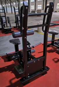 महिला प्रशिक्षकों की श्रृंखला प्लेट भरी हुई जिम उपकरण महिला अंगरक्षक के लिए खड़ी - Product Image 6